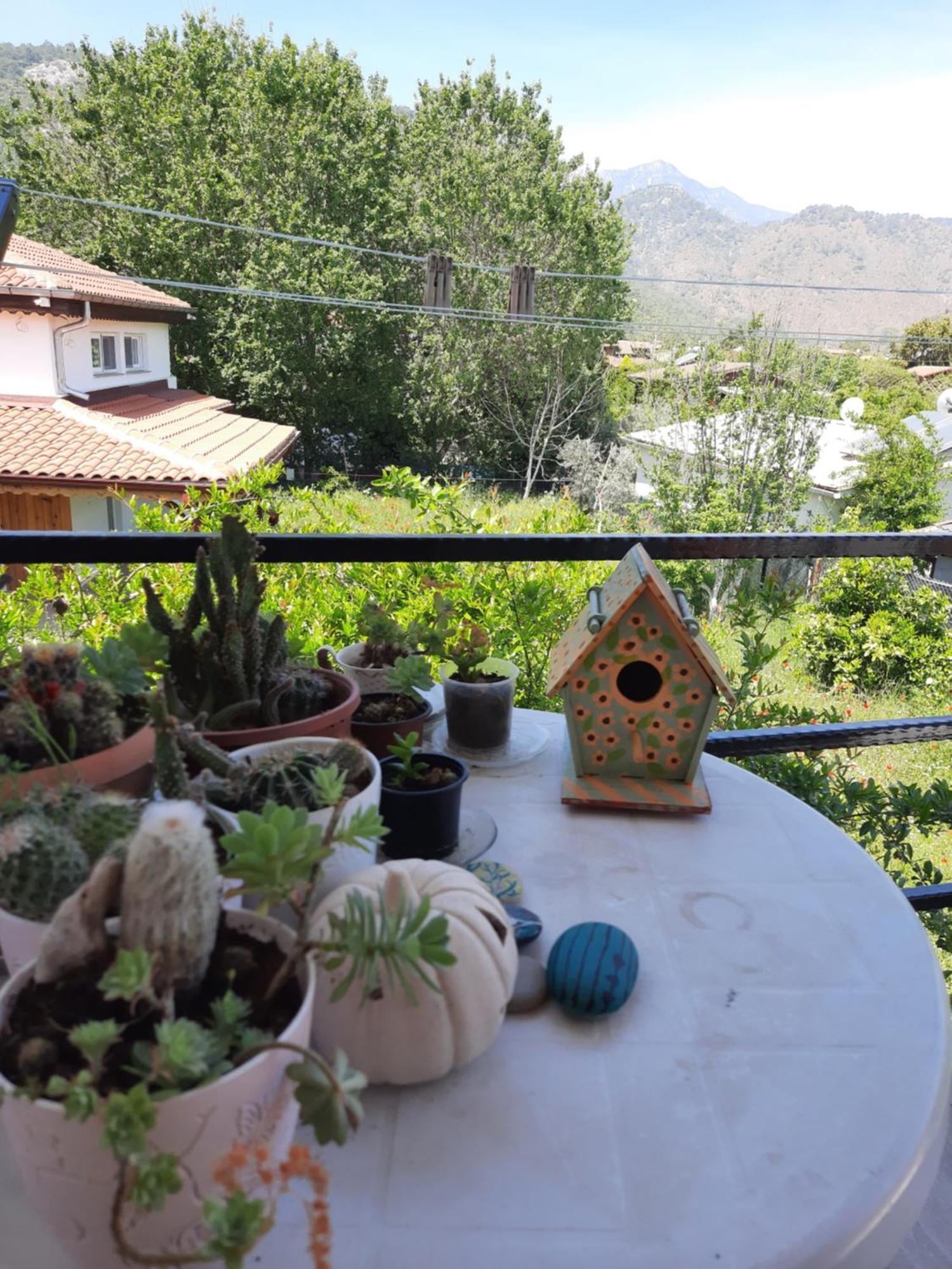 Cirali Kus Yuvasi Bed & Breakfast Стая снимка