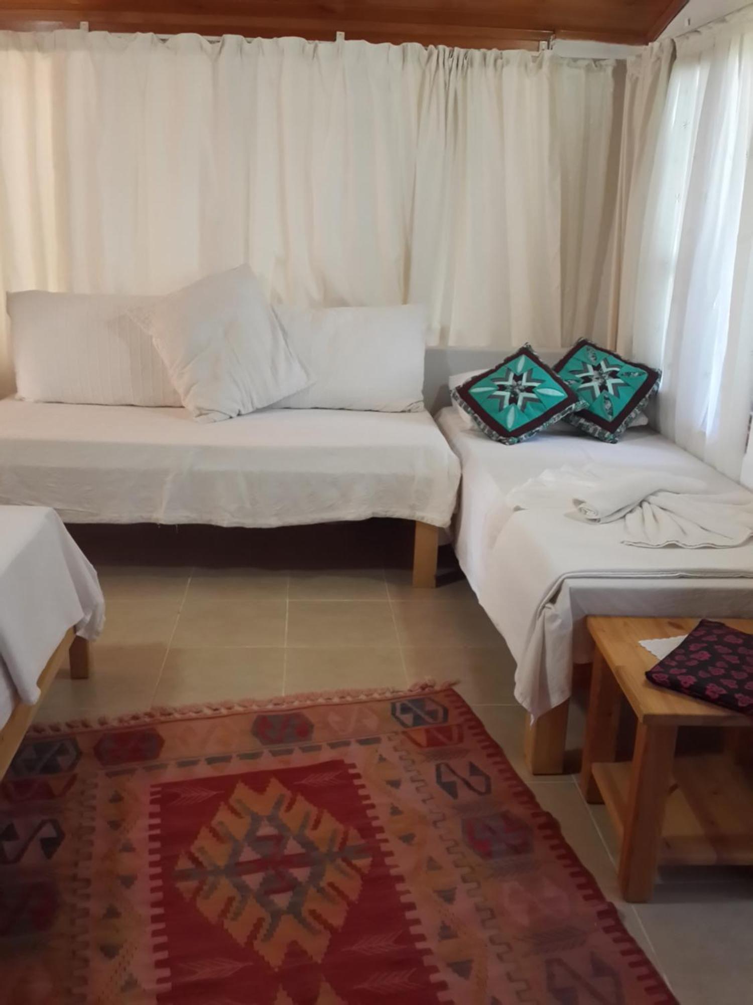 Cirali Kus Yuvasi Bed & Breakfast Стая снимка